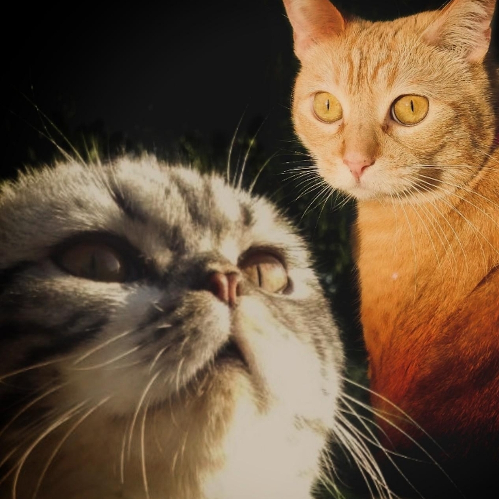 Meet your Posher, Brian